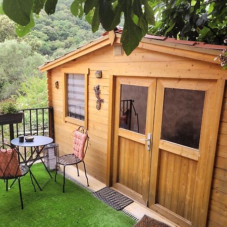 Loue Chalet De 11M2 Auribeau-sur-Siagne Zewnętrze zdjęcie